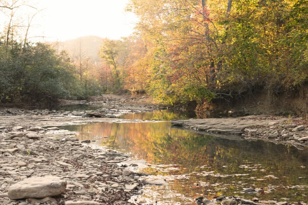 Buffalo National River