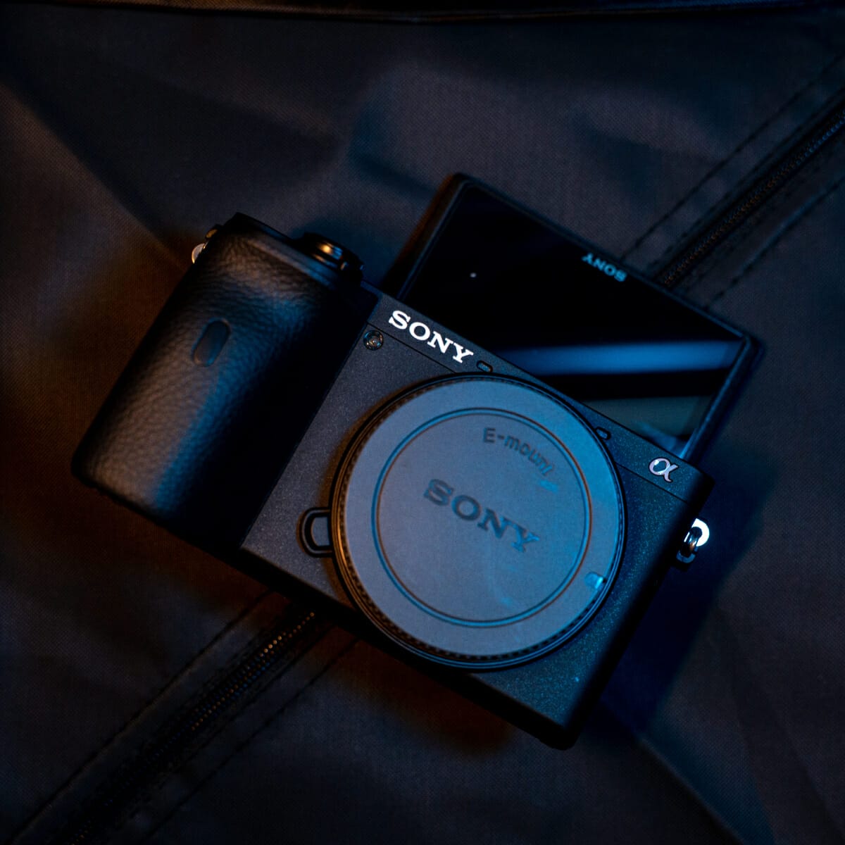 7+ Best Cameras for Disney World (2023)