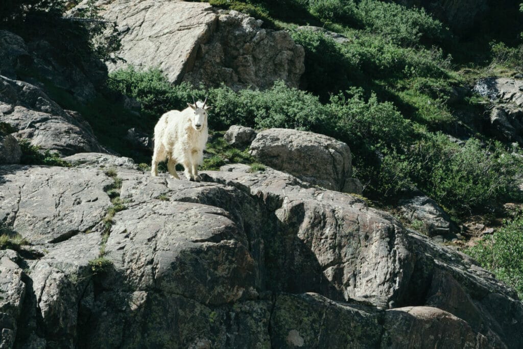 colorado