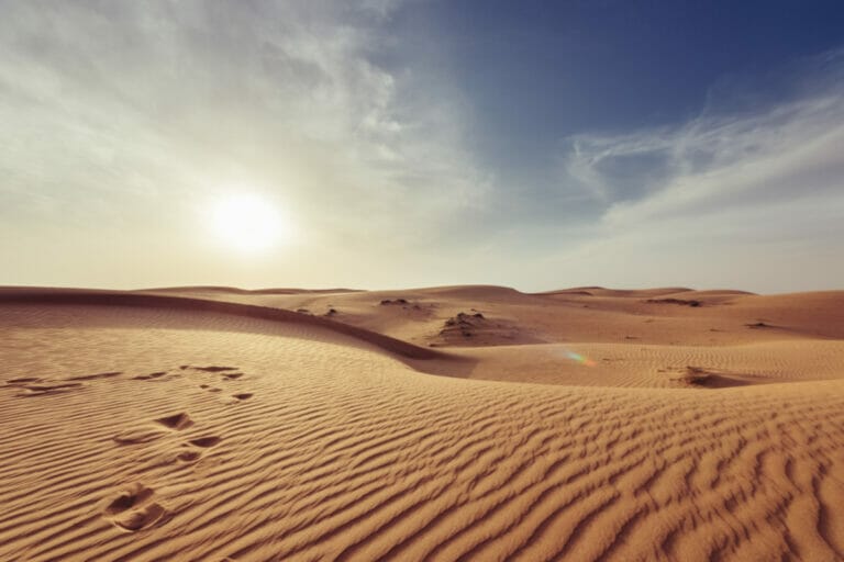 101 Unique Desert Instagram Captions For The Perfect Post Desert 5 768x512