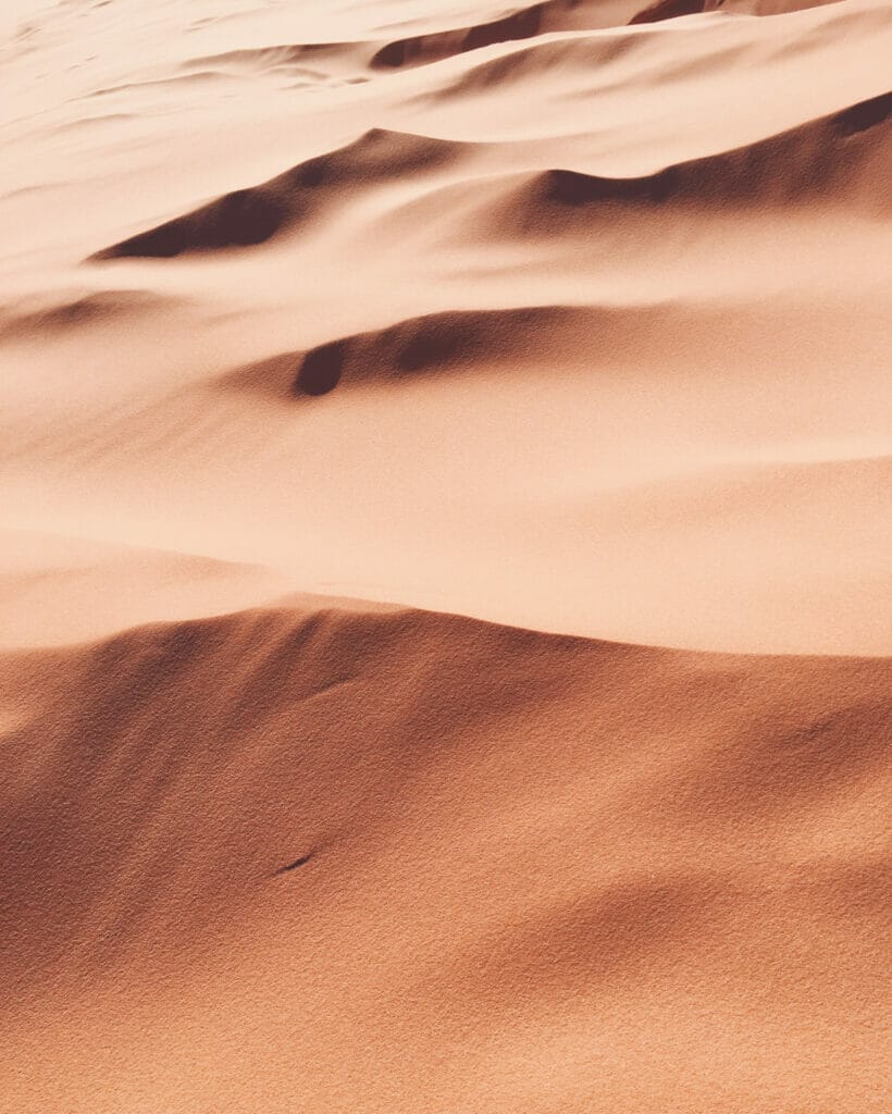 desert