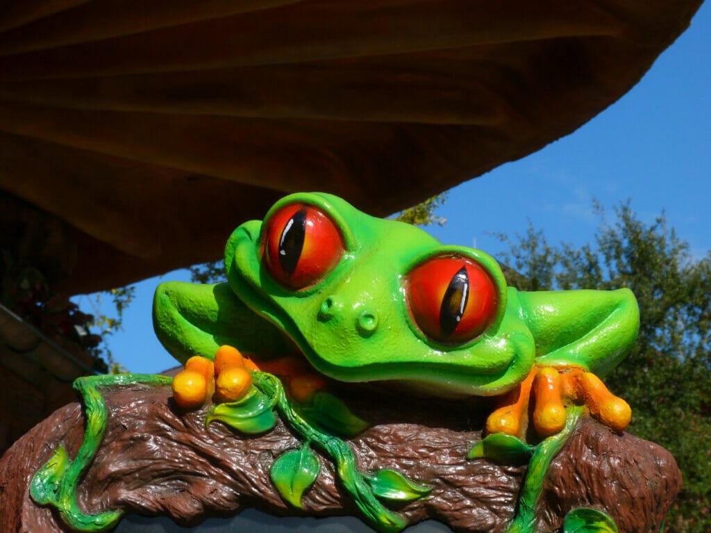 frog at Rainforest Cafe