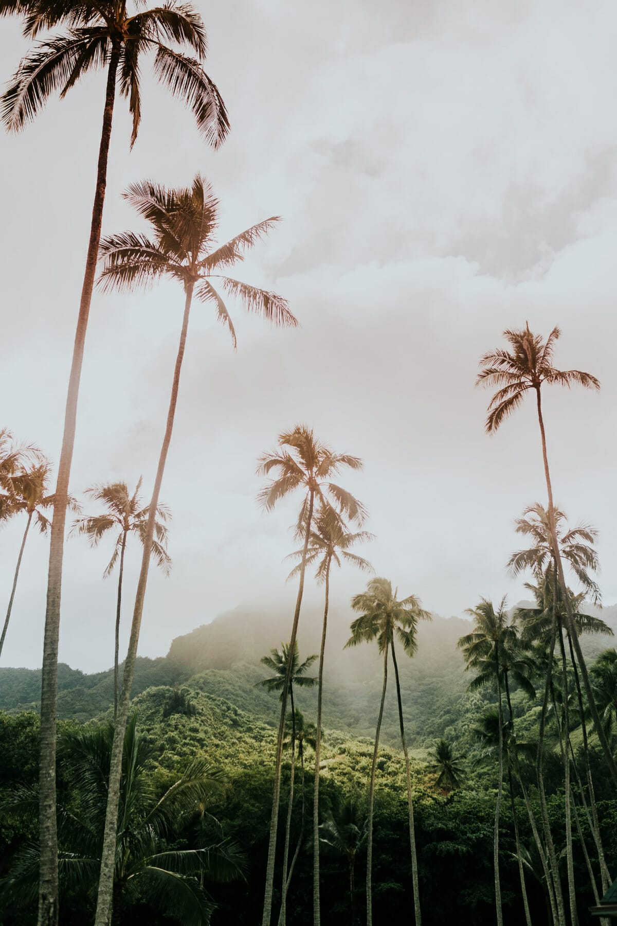 101+ Best Hawaii Instagram Captions for the Perfect Post