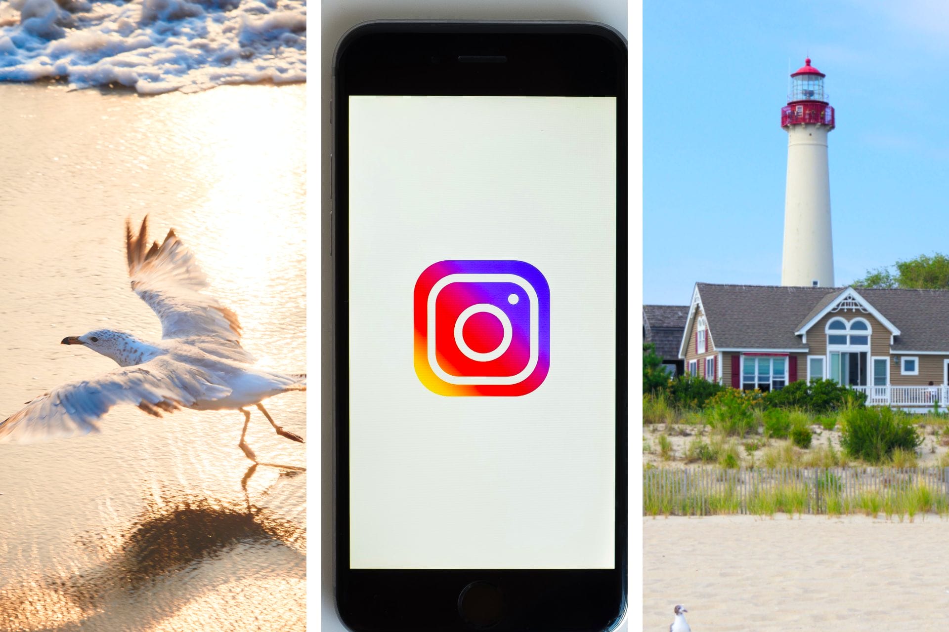 23 Jersey Shore Instagram Captions for the Perfect Post via @allamericanatlas