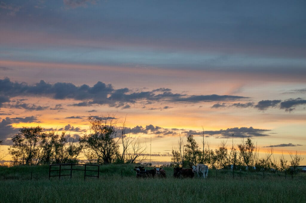 Jonesboro Arkansas