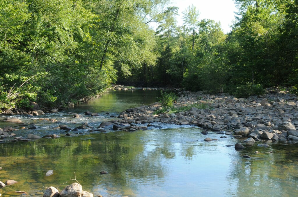 Ouachita National Forest