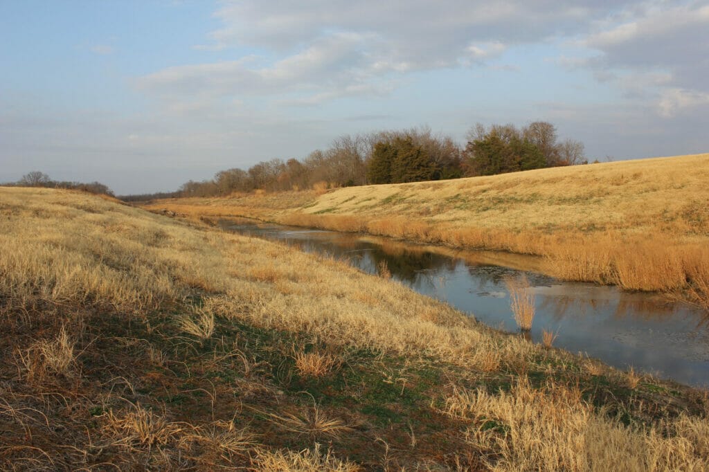 South Sulphur River