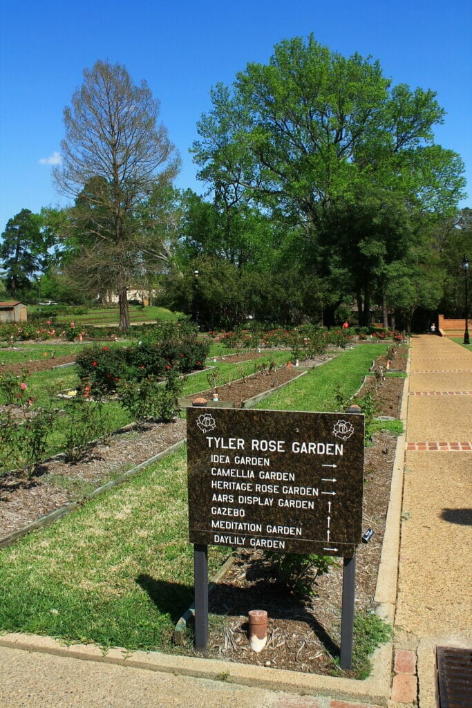 Rose Garden in Tyler Texas