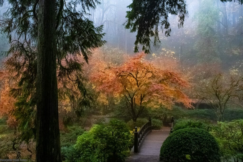 Portland Japanese Garden