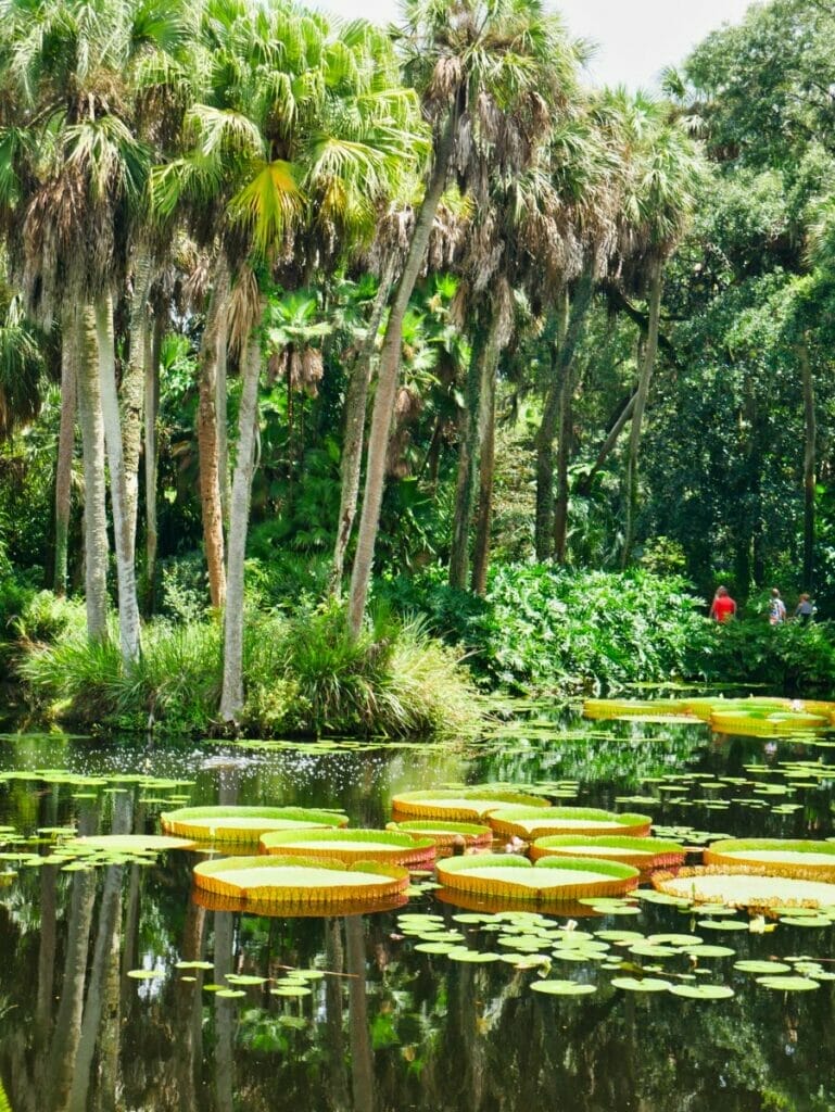 Bok Tower Gardens