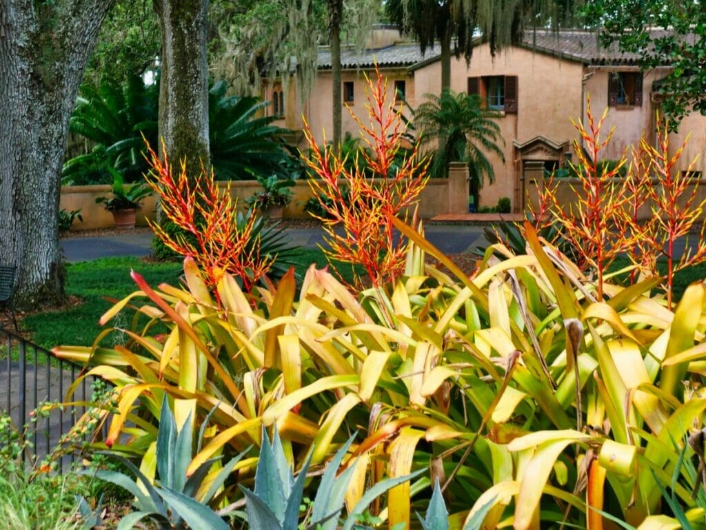 Bok Tower Gardens