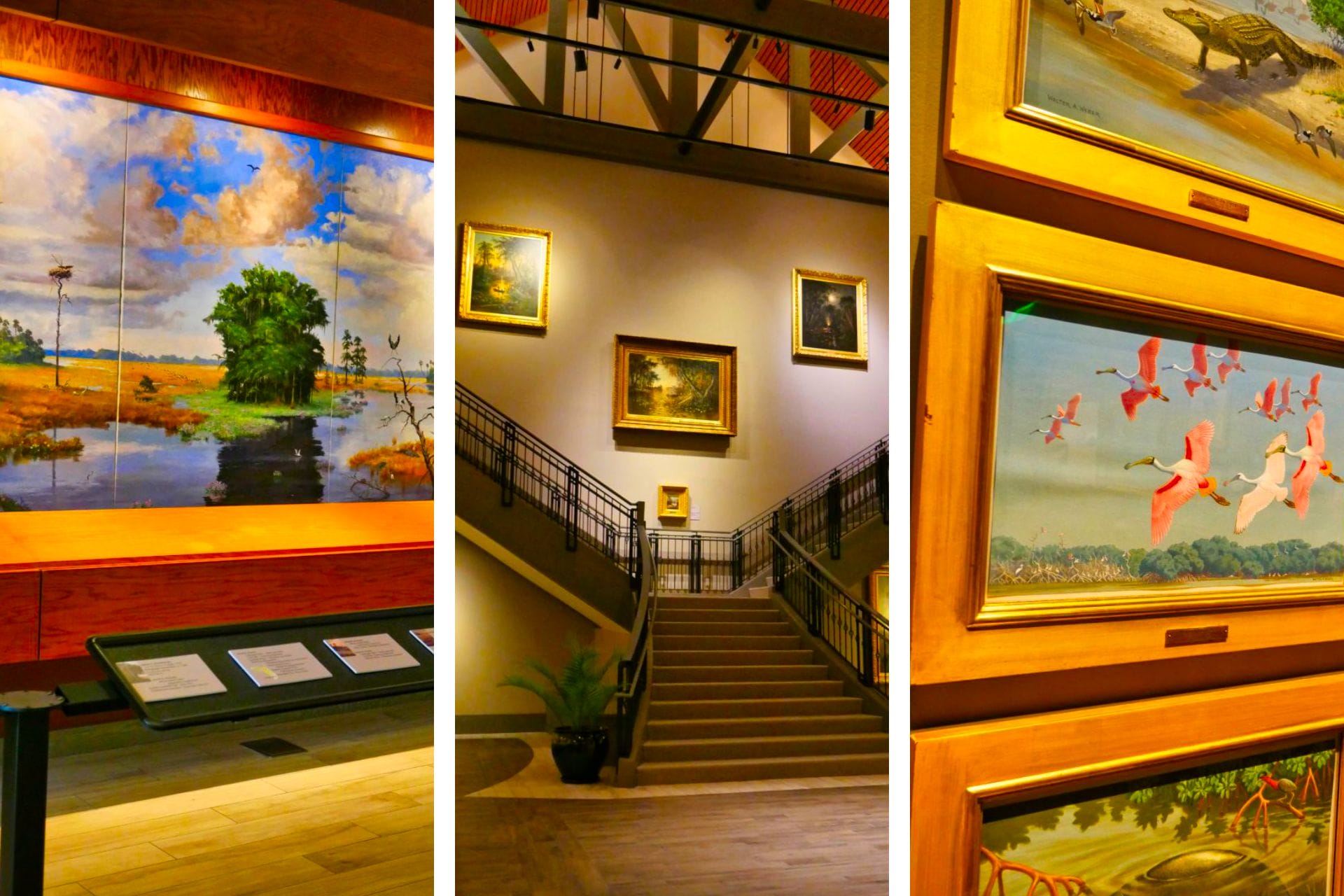 (Honest) Cici and Hyatt Brown Museum of Art Review via @allamericanatlas