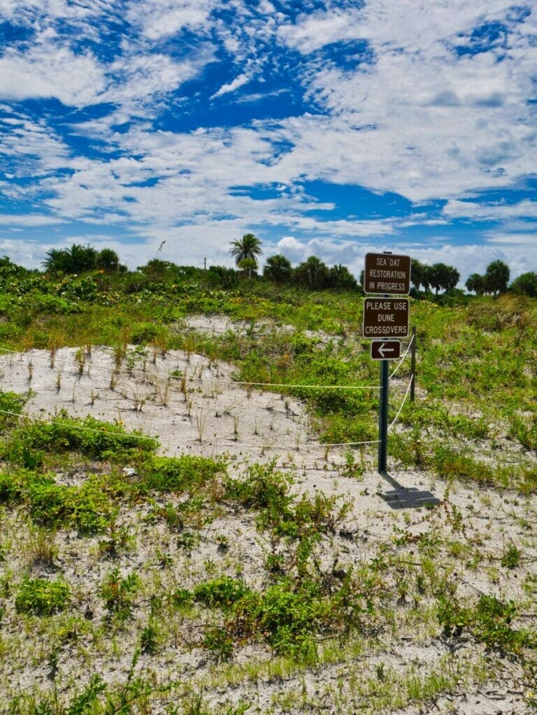 Fort De Soto Park, Florida Ultimate Guide + Tips (2024)