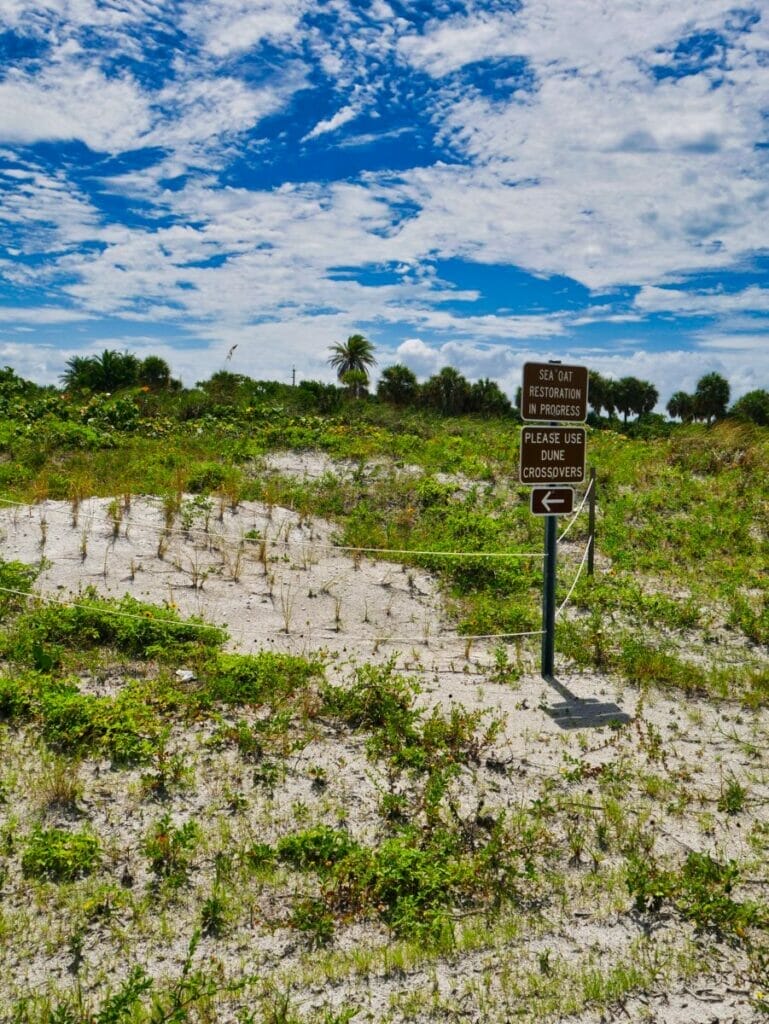 Fort De Soto Park