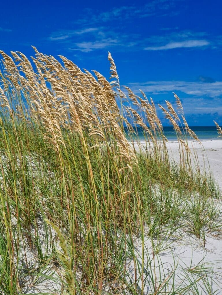 Fort De Soto Park