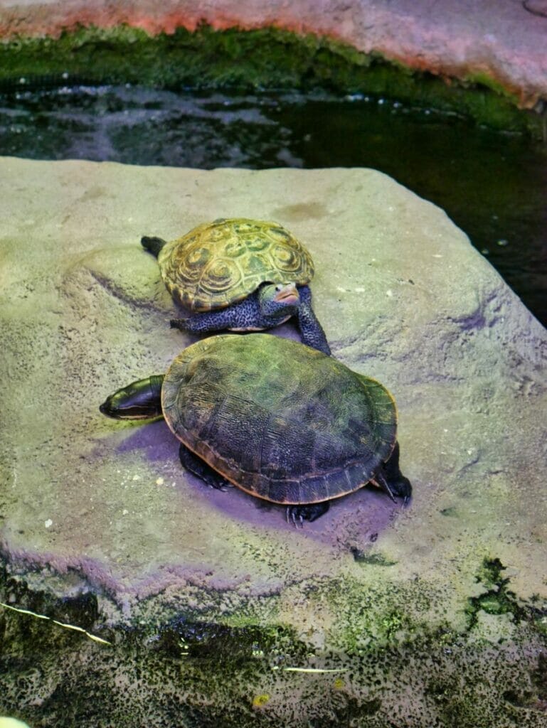 Marine Science Center in Daytona