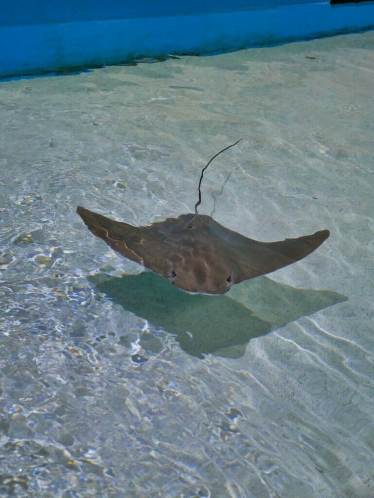 Marine Science Center in Daytona