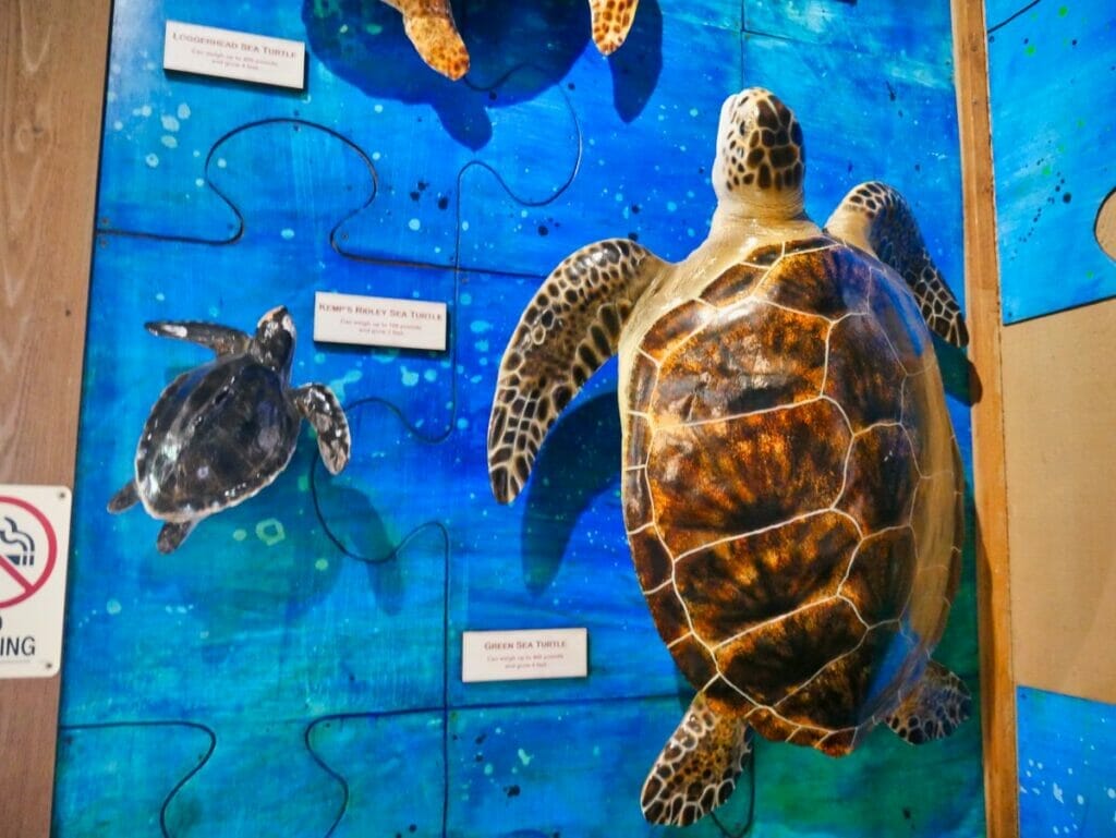 Marine Science Center in Daytona