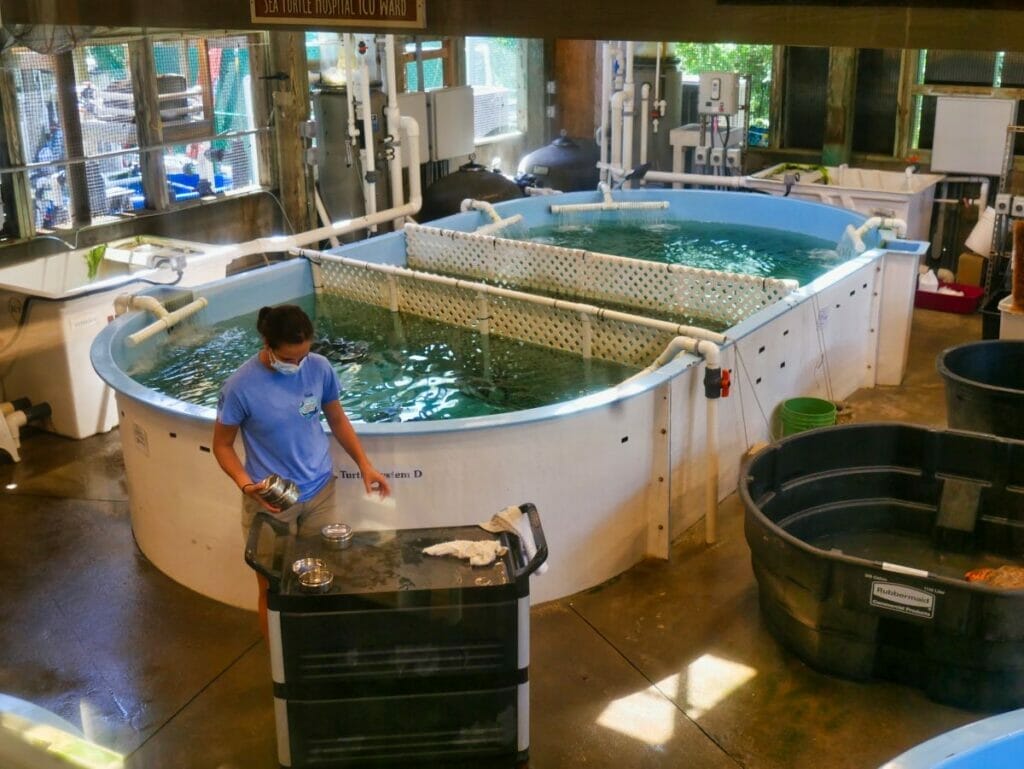 Marine Science Center in Daytona