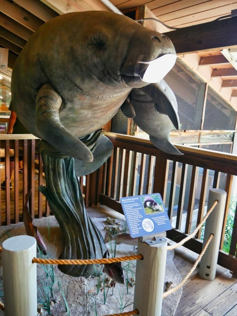 Marine Science Center in Daytona