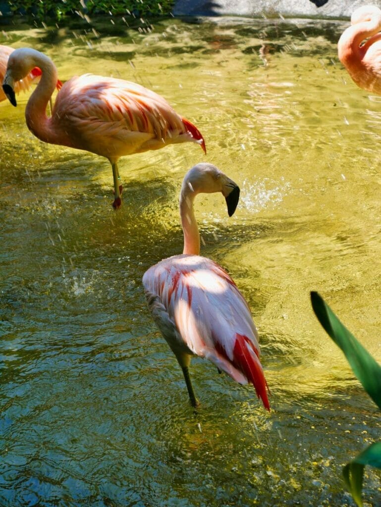 Sunken Gardens