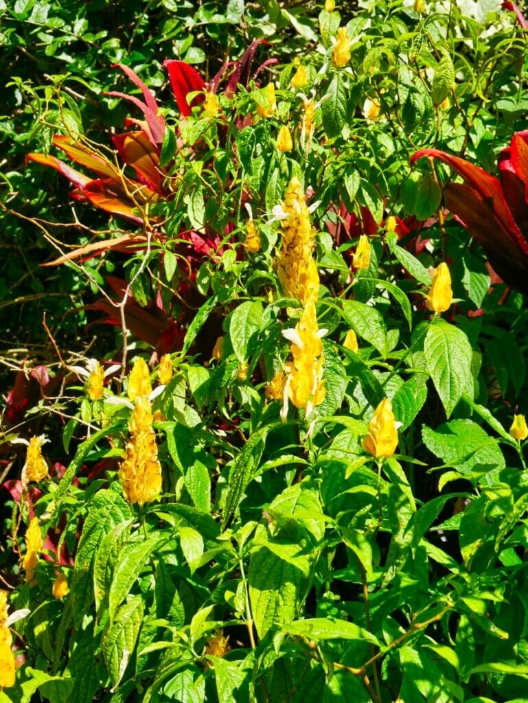 Sunken Gardens