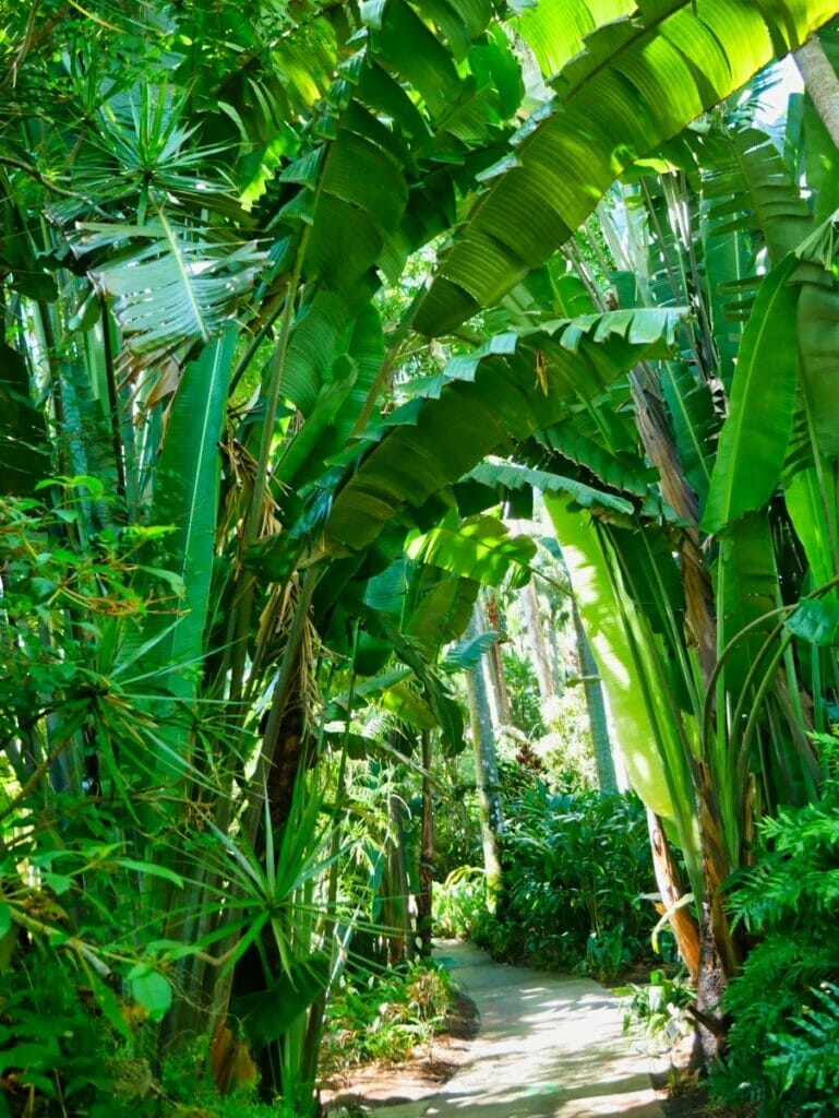 Sunken Gardens