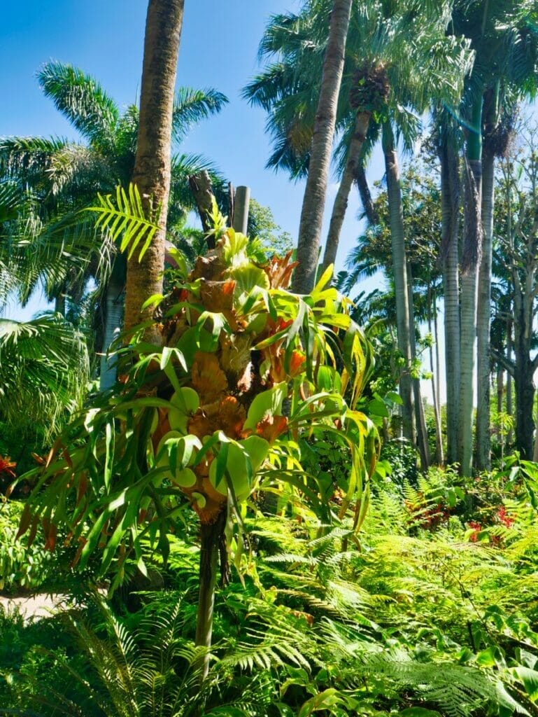 Sunken Gardens