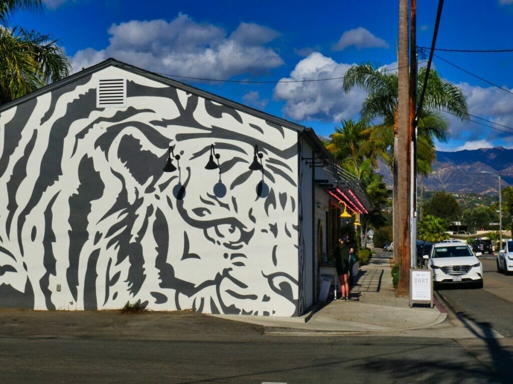 grafitti in funk zone