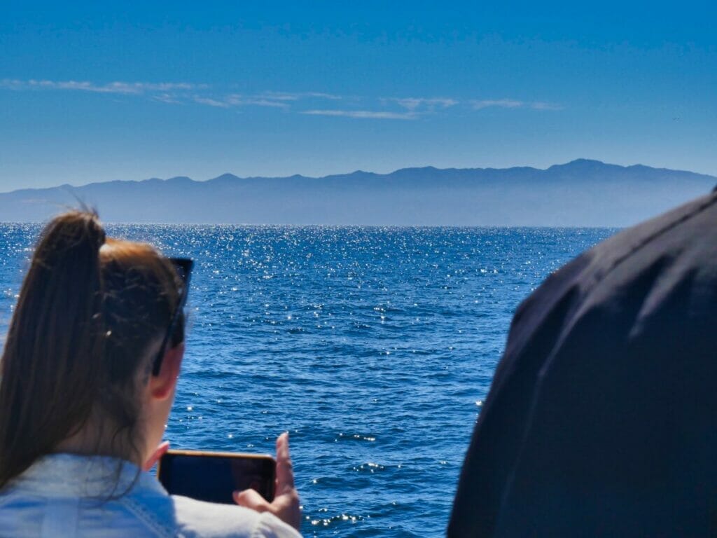 Girl taking pictures of whales