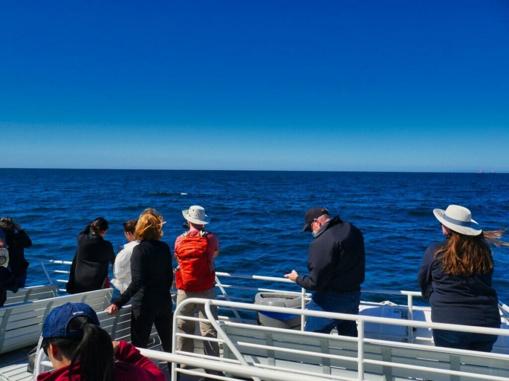 people aboard the condor express