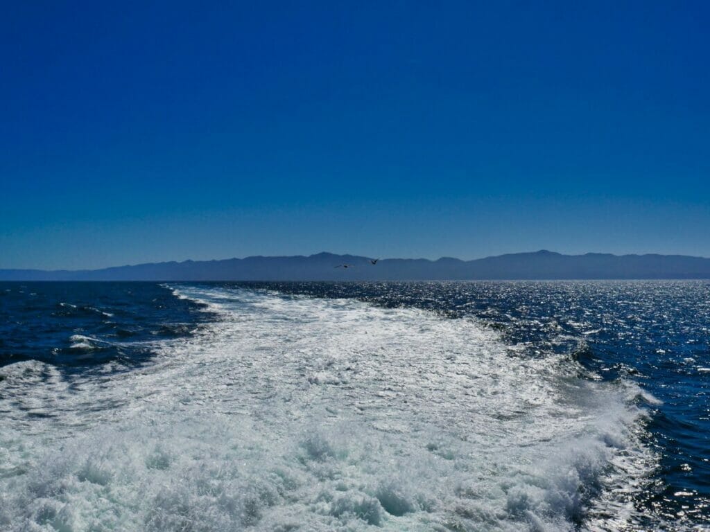 wake of a boat on the ocean