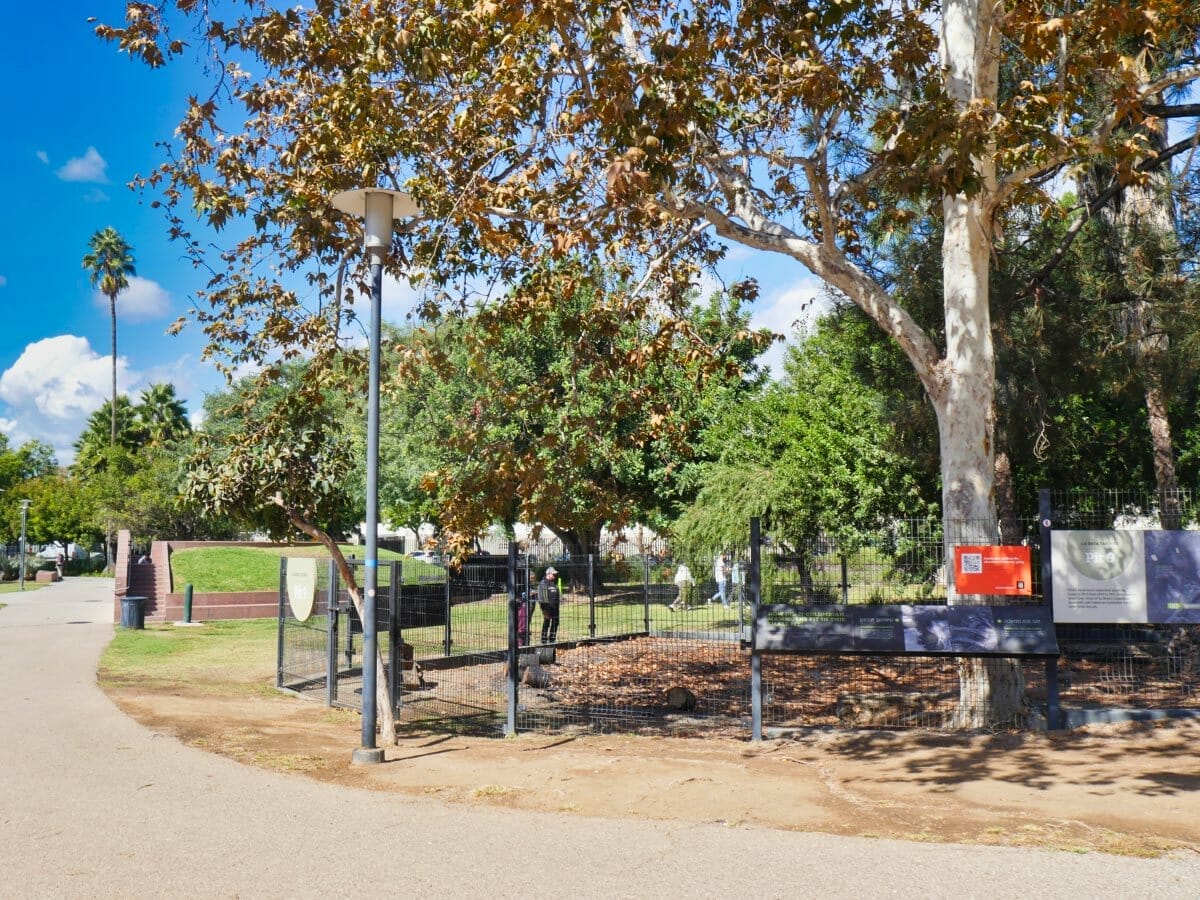 La Brea Tar Pits