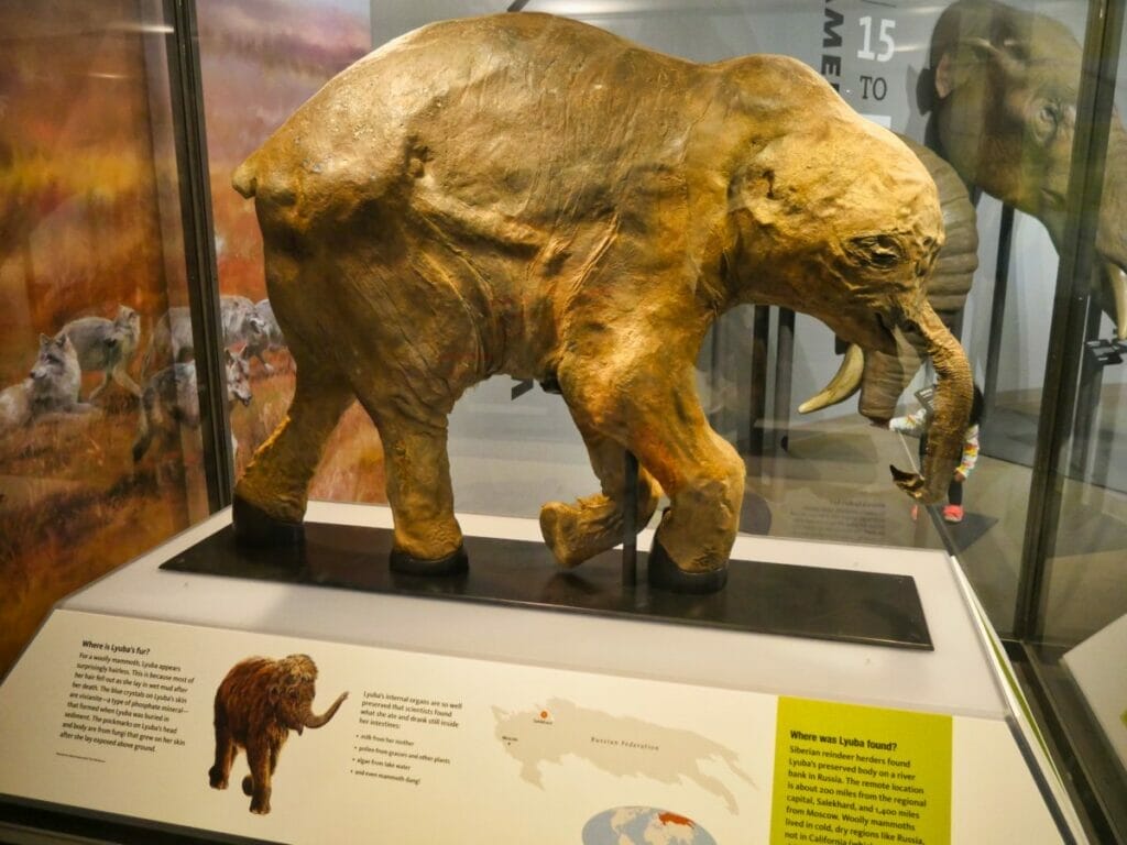 La Brea Tar Pits