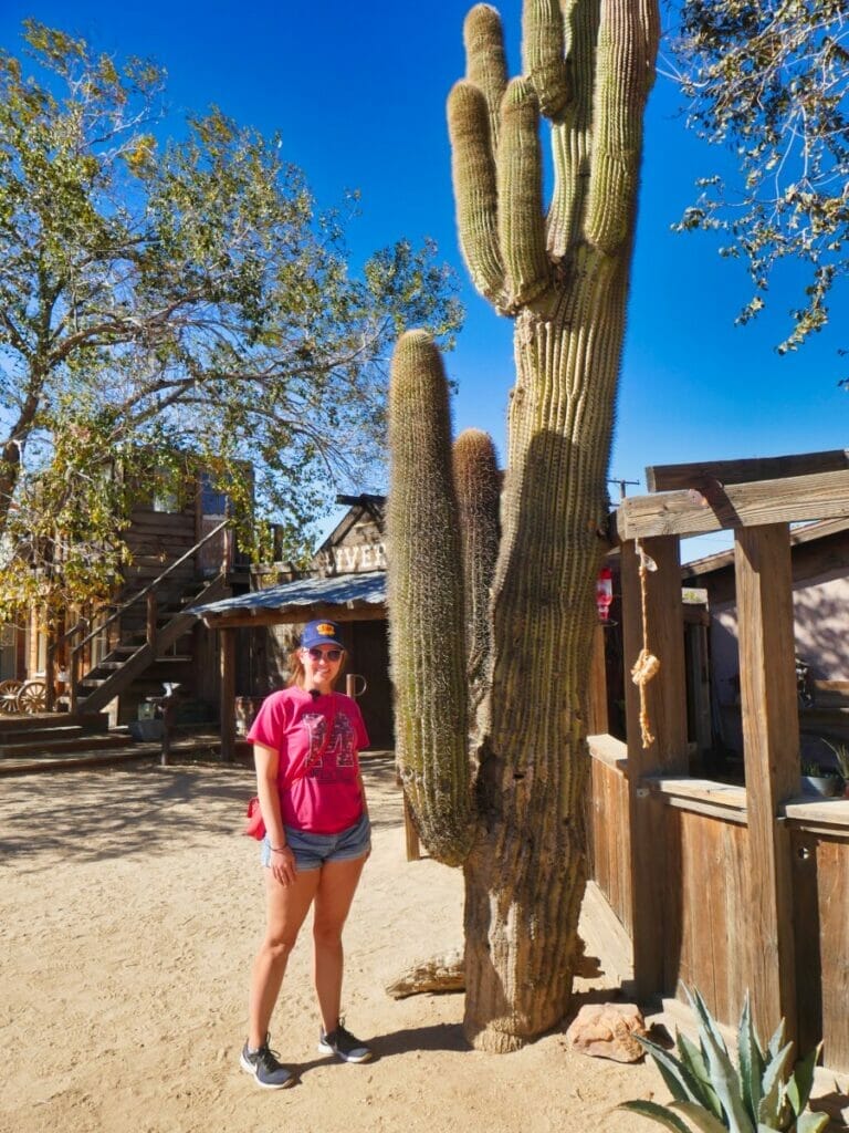 Pioneertown california