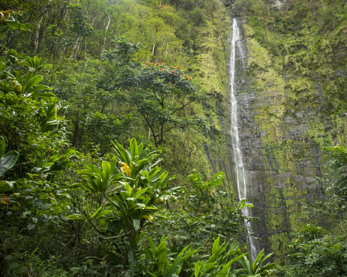 7 Best Waterfalls in Hawaii for Your Bucketlist