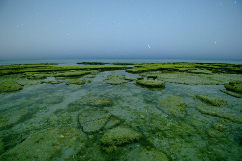 Point of Rocks