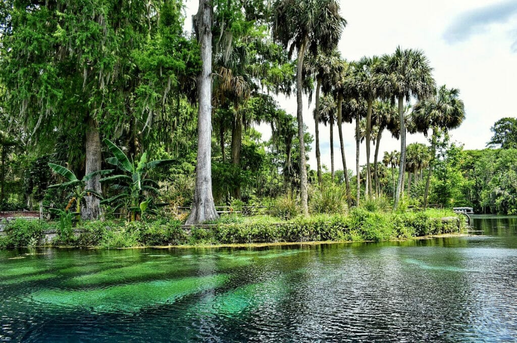 Silver Springs State Park