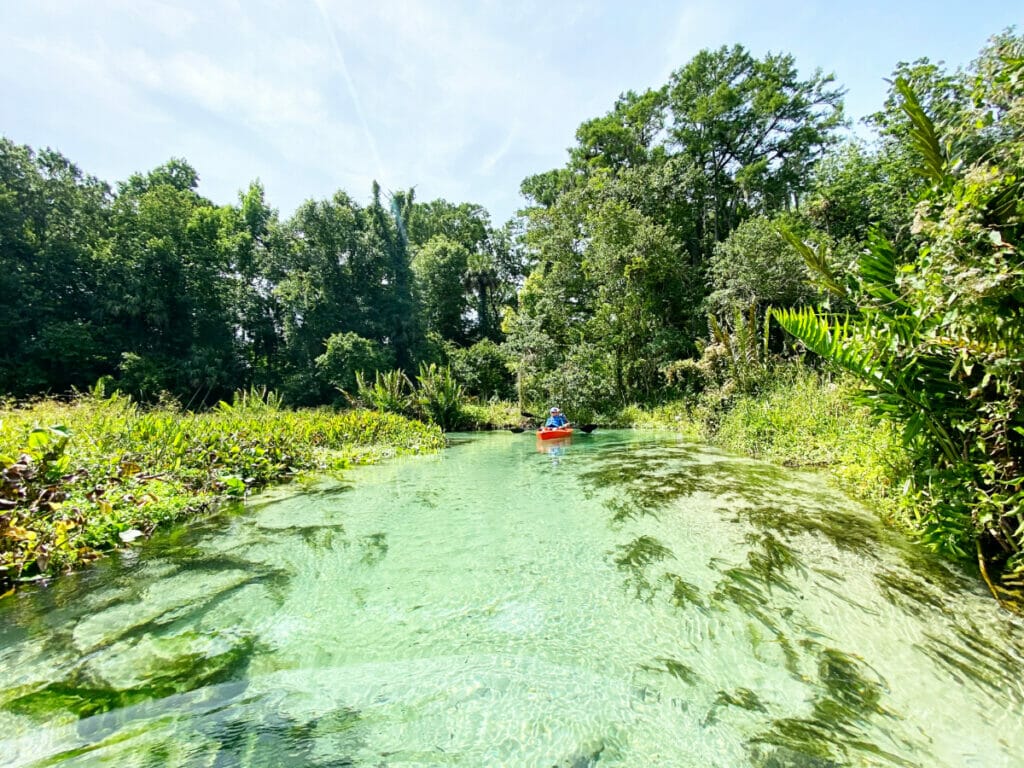 Florida springs