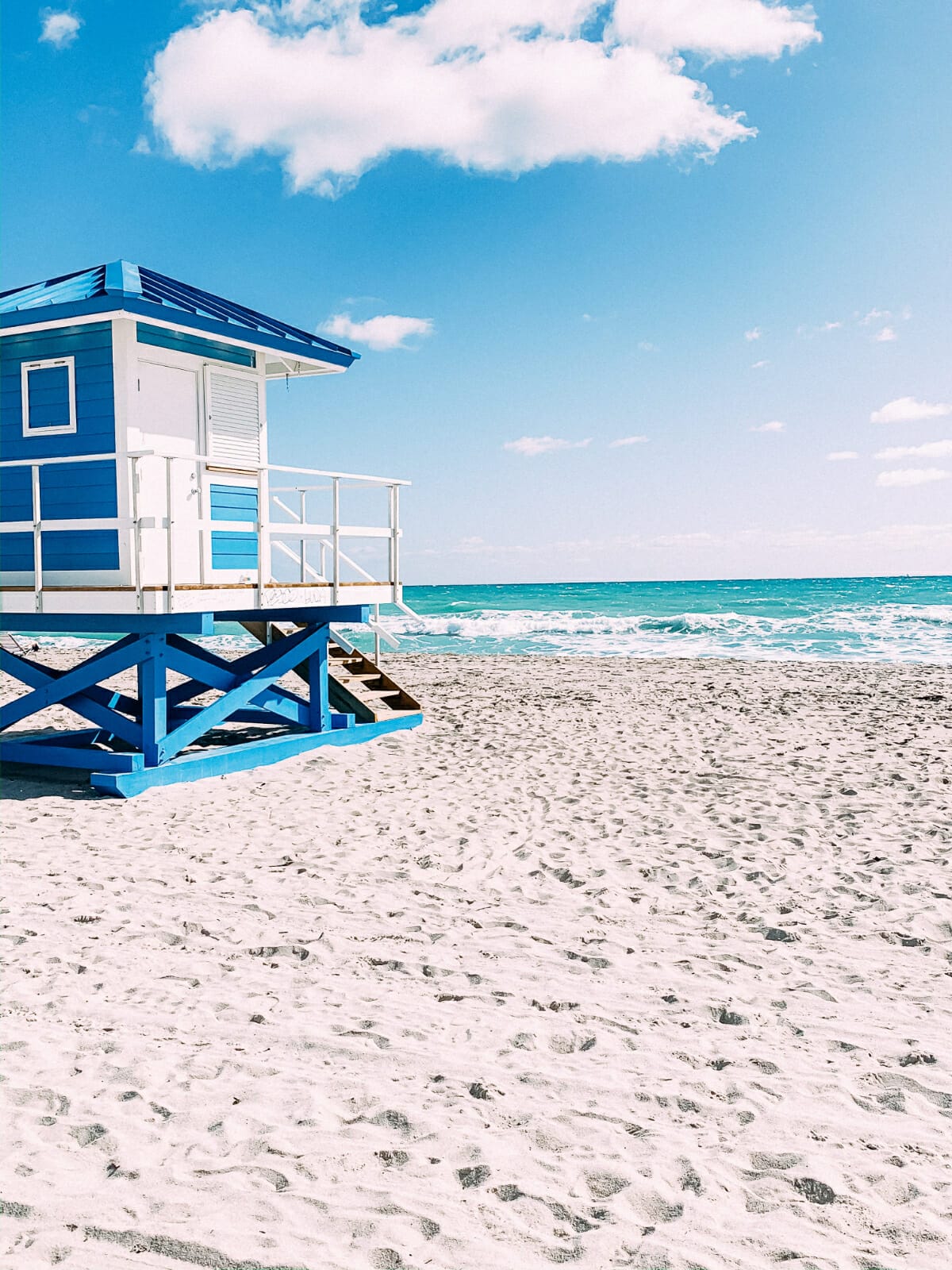 19+ Fun Facts about Florida that You Won't Believe!