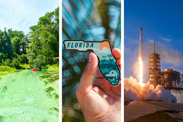 19+ Fun Facts about Florida that You Won't Believe! AllAmerican Atlas