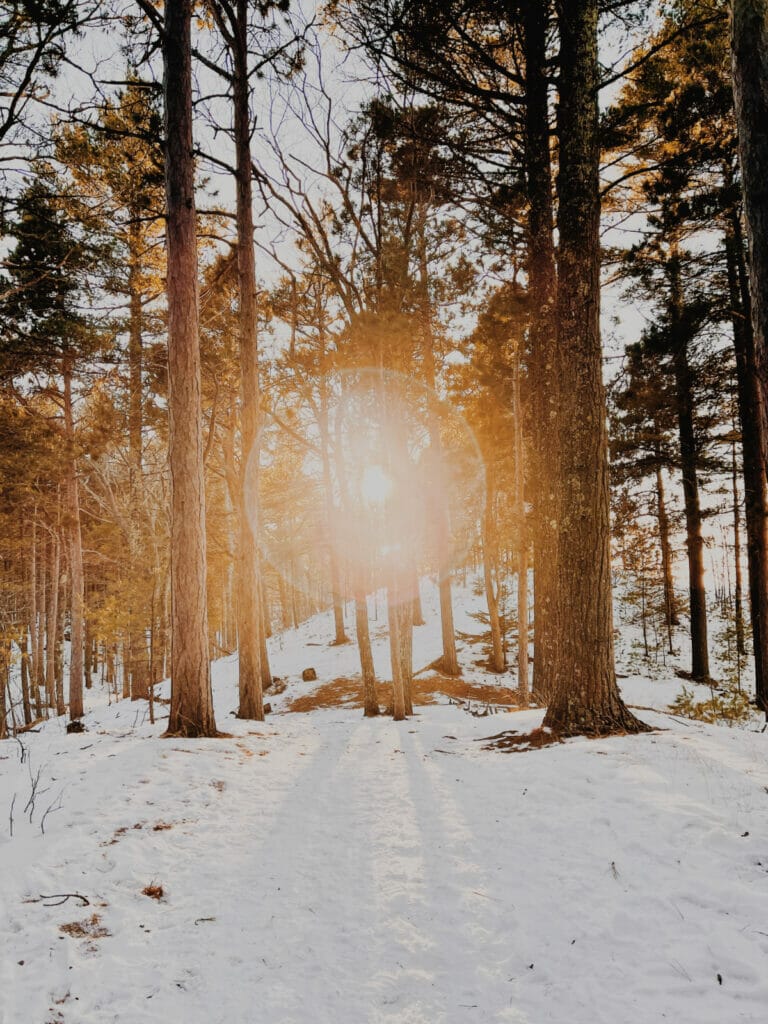 Michigan