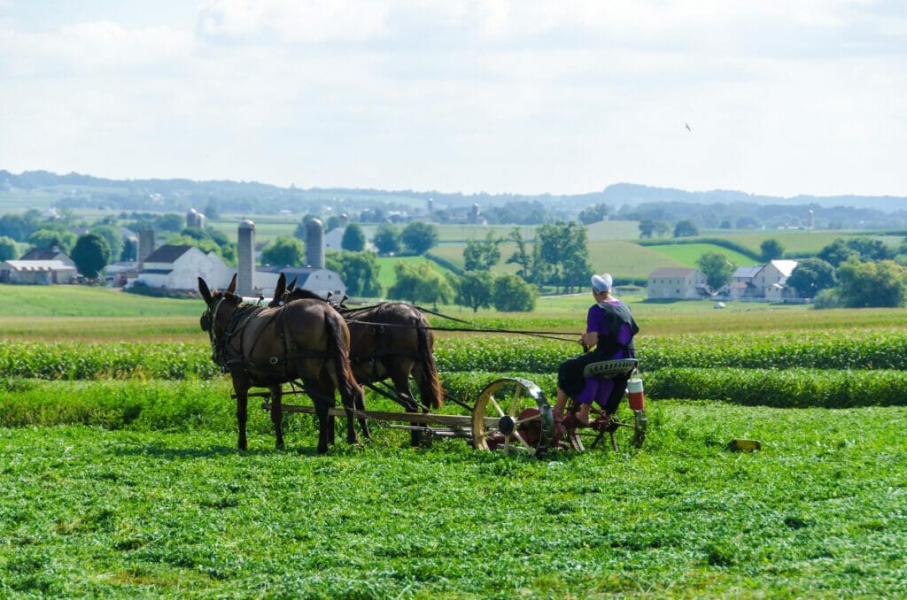Amish woman on a horse