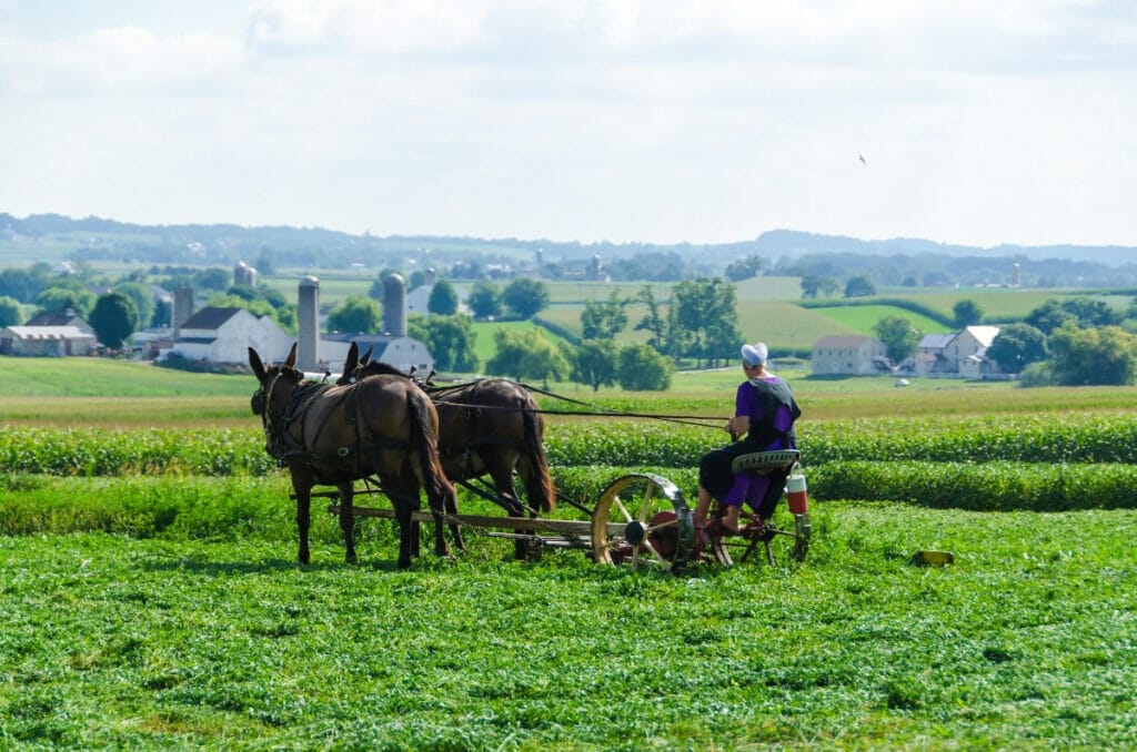 Amish woman on a horse 