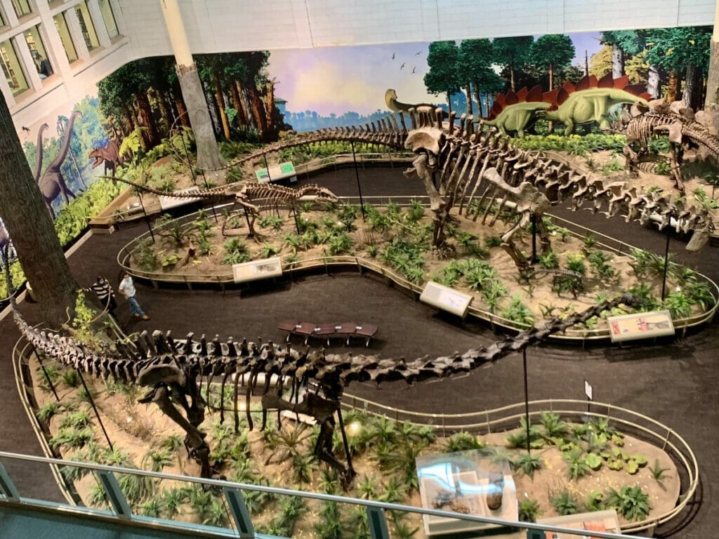 Carnegie Museum of Natural History