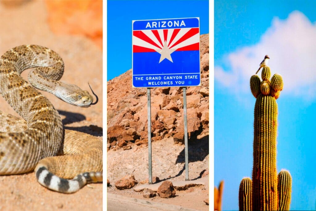 Images of Arizona