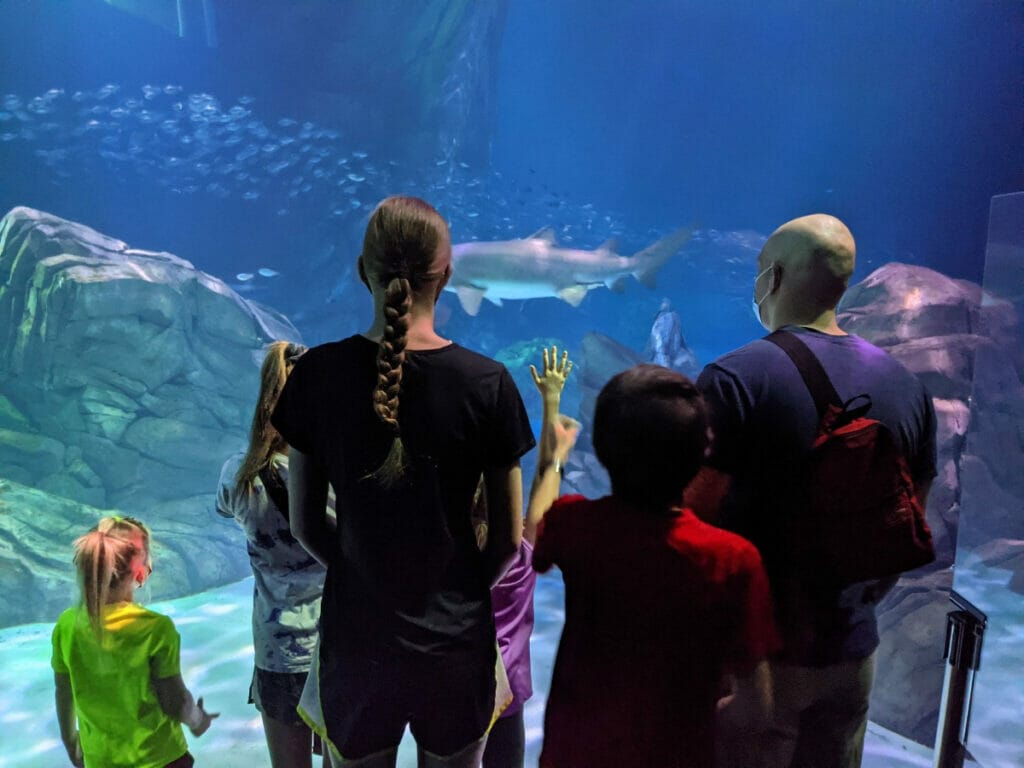 Georgia Aquarium 