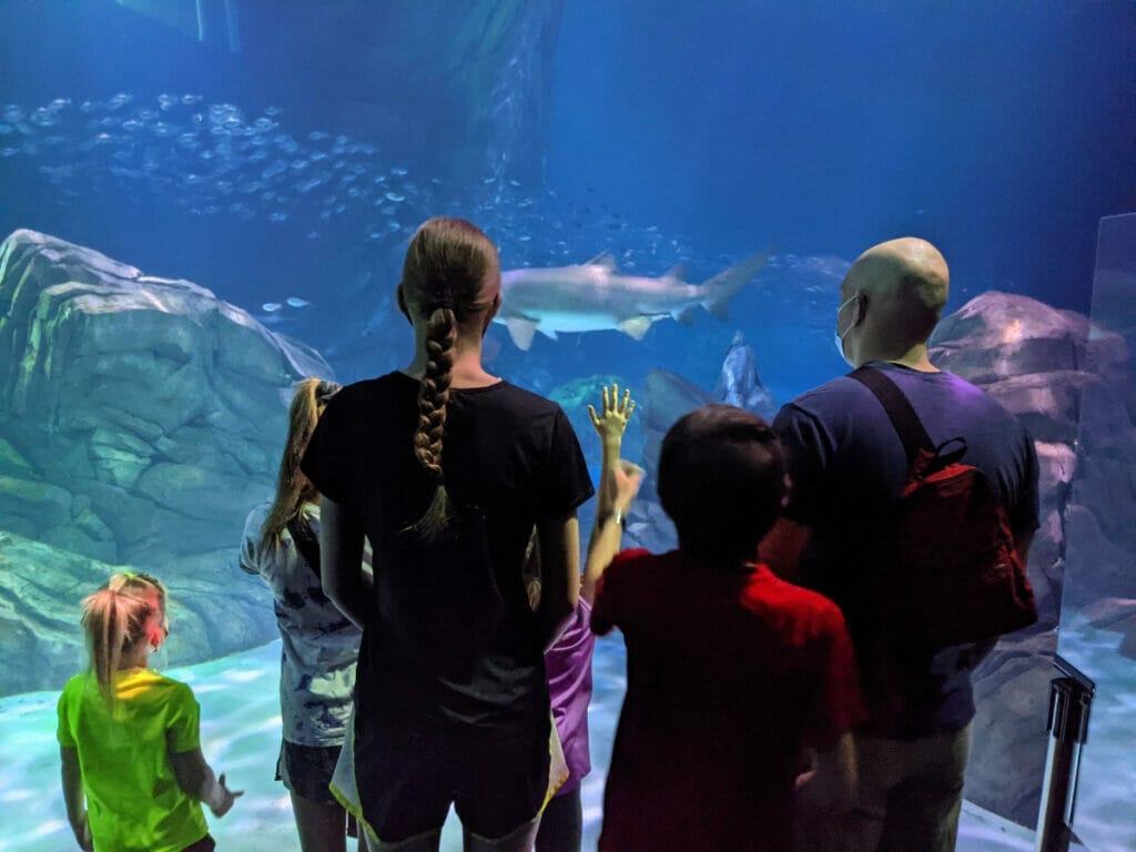 Georgia Aquarium