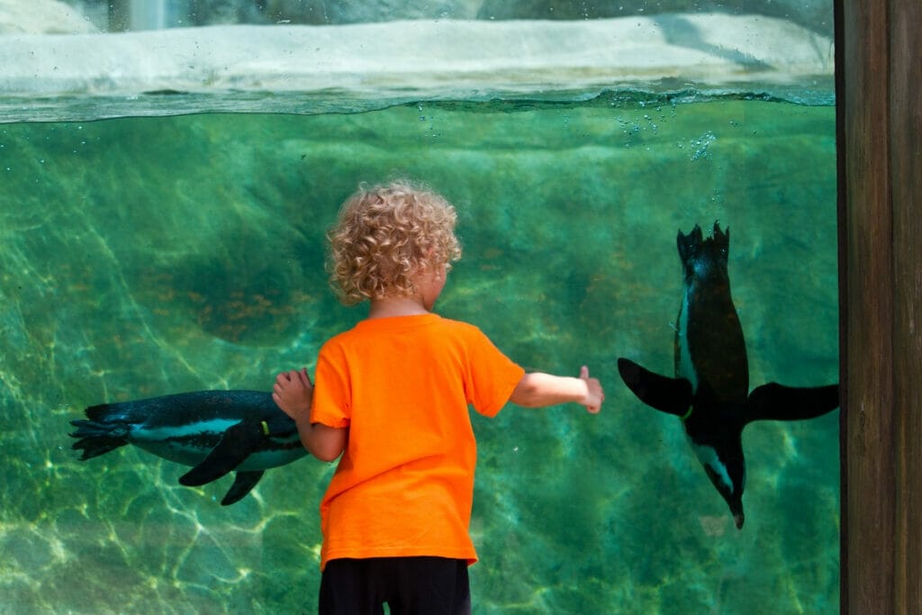 Kid having fun at the Little Rock Zoo 