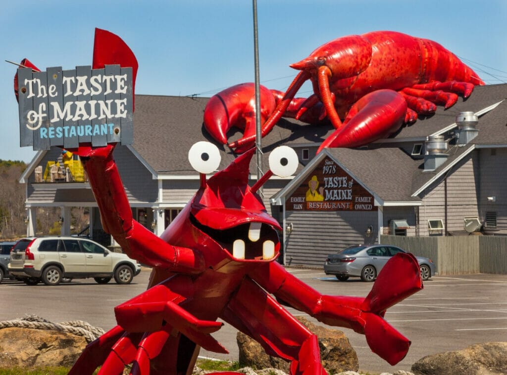 Maine lobster